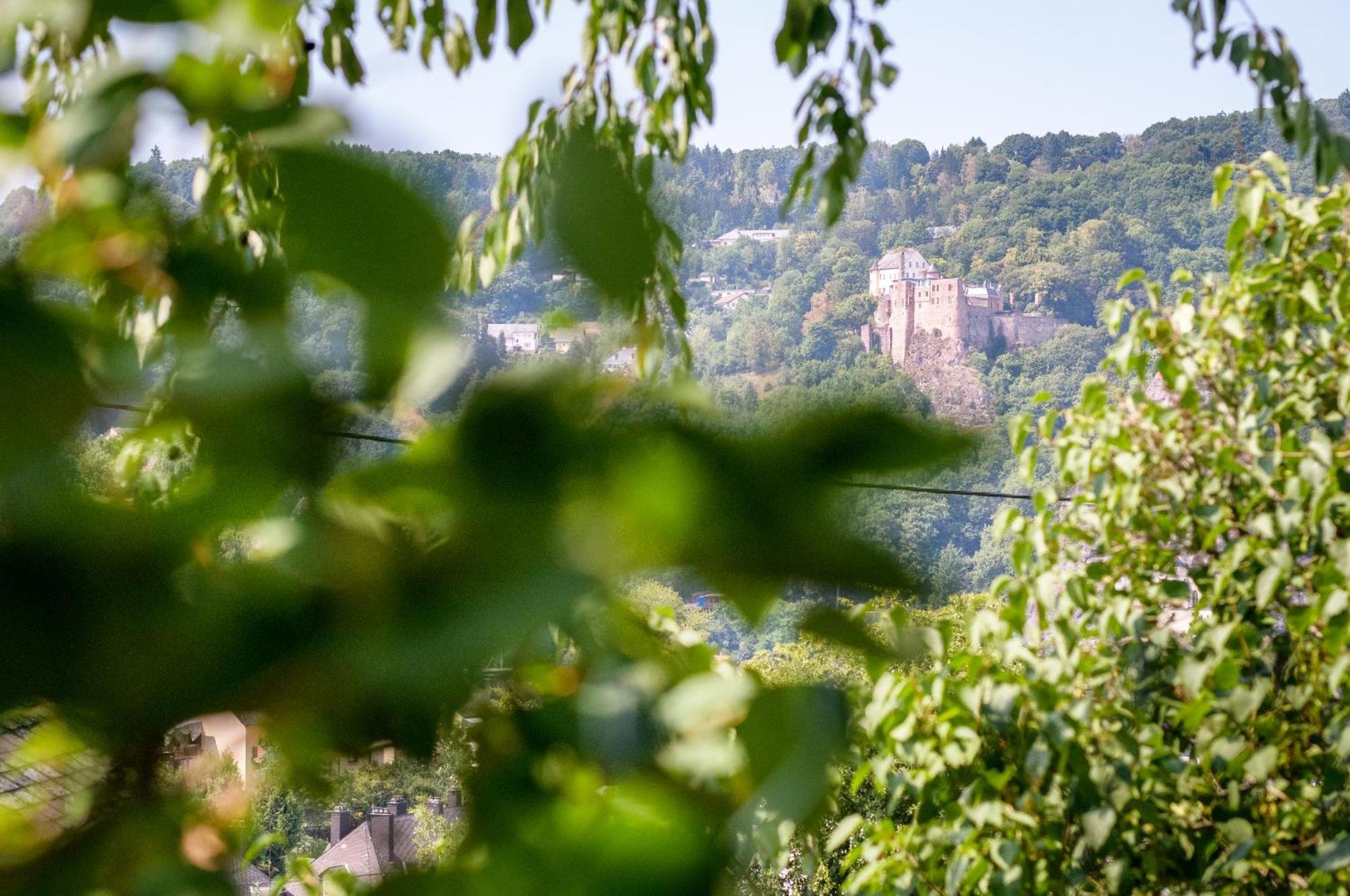 Haus Kallin Idar-Oberstein Exteriér fotografie